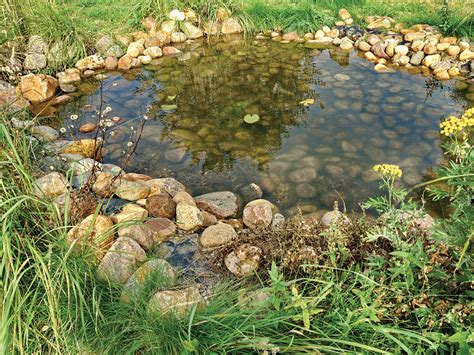 Frog pond - 2. dig a hole for the pond shells. 3. level and compact the base. 4. fill the pond shell with gravel and soil and used as a wet zone, then plant. 5. The bath tub hole is dug, 6. the base is ...